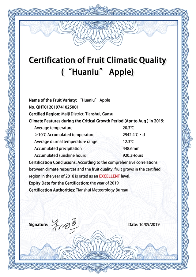 甘肃首例苹果气候品质认证落地天水市麦积区 这里的“花牛”苹果一斤卖到10元以上