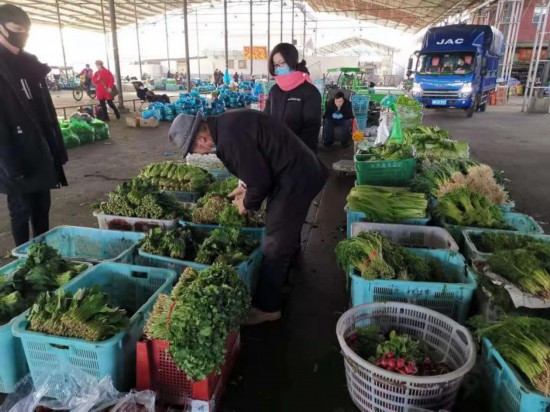一波現場照片告訴你：上海市場蔬菜批發價格已經跌去一半，大白菜又回到“白菜價”