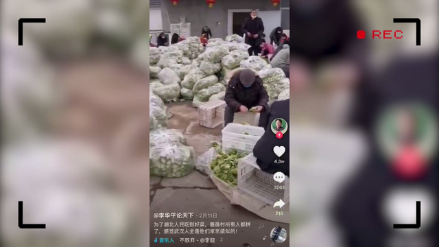 李华平、李华忠：74万斤蔬菜搭起爱的桥梁