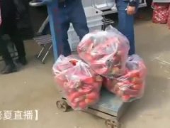 云品丨探访昆明最大蔬菜批发市场：日均交易1400吨