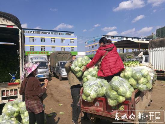 云品丨探访昆明最大蔬菜批发市场：日均交易1400吨