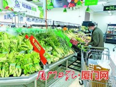 量足价稳品种多 厦门假期首日蔬菜供应量达4644吨