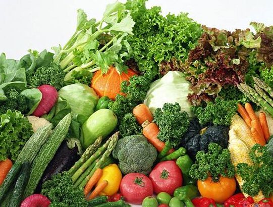 有机蔬菜和绿色蔬菜的检验和认证