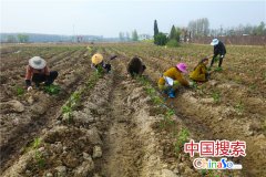 河南光山: 种植蔬菜让社会各界人士感受农耕文化