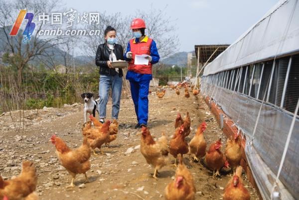 帮农户卖131只鸡500斤番茄 ＂宁波妈妈＂变身＂带货王＂