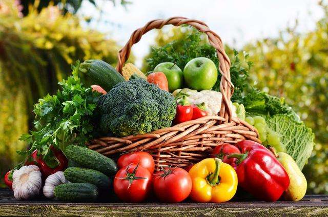 全年蔬菜种植时间表，不同蔬菜合理轮换种植效益高