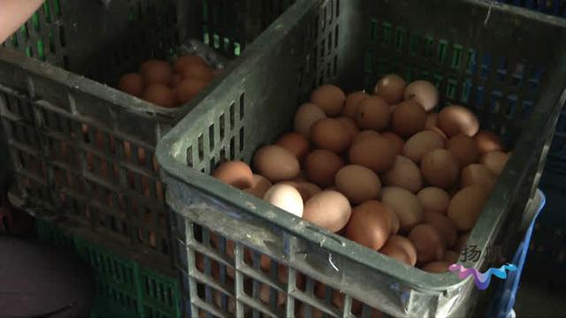 扬州蔬菜鸡蛋价格走低，苹果价格依旧坚挺