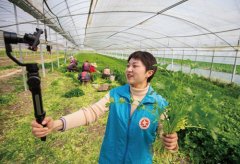 南通海安志愿者蔬菜大棚里直播销售为菜农纾困增收