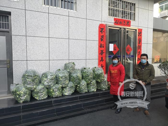 温暖！长安区菜农采摘600斤新鲜小青菜送莲湖警方