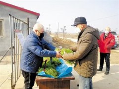 退役军人彭东将自种大棚蔬菜免费送乡邻