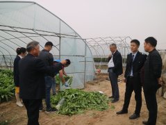 局种植处与执法支队赴赣榆开展蔬菜残留及农药专项整治工作