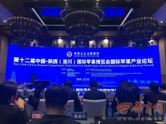 第十二届中国·陕西（洛川）国际苹果博览会国际苹果产业论坛顺利召开