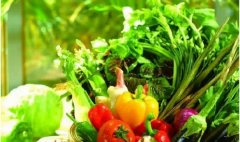<b>常吃有机蔬菜 对人体的好处</b>