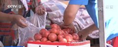 月度经济观察：全国蔬菜价格保持季节性下行