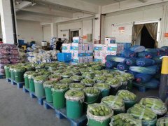 5000吨蔬菜将陆续抵京，25种蔬菜价格出现回落态势