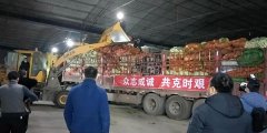 旌阳农民李和平 自购41吨果蔬支援武汉战疫情