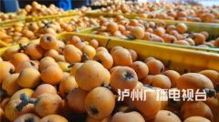 泸州：夏季时令水果大量上市品种多样价格亲民