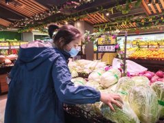 拉萨市蔬菜价格总体呈下降趋势