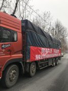 海南省荆州商会向荆州捐赠20吨水果