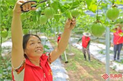 南平浦城双田村：特色水果种植产业带动村民脱贫增收