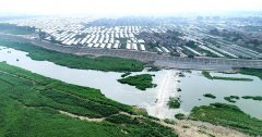 山东寿光弥河防洪工程竣工，中国蔬菜之乡有望远离水患侵扰