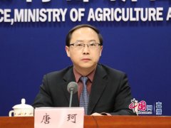 农业农村部：预计春节前水果价格小幅上涨 节后略有回落