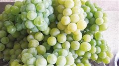 弥勒的葡萄熟了2020年07月10日 星期五A09 财经