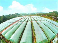 莱芜蔬菜温室大棚生产厂家产品的加温措施