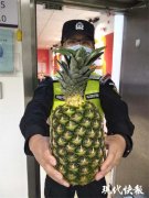 暖心！“小菠萝”送10箱菠萝给南京警察叔叔