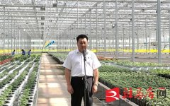 汝南县领导直播介绍汝南县番茄产业发展情况，亮点很多......
