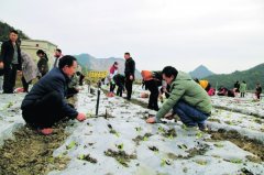 开阳县龙岗镇村民赴长顺学习蔬菜种植技术