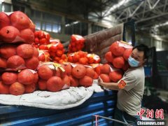 日销蔬菜3000余吨 乌鲁木齐市场蔬菜供应有保障