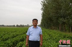 刘世荣：把中国蔬菜出口到海外的“新型农民”
