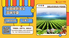 人民网将独家直播第五届全国知名蔬菜销售商走进宁夏云推介活动