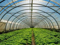 菏泽蔬菜温室大棚生产厂家产品主体结构考虑因素