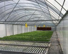 蔬菜温室大棚的抗压强度是多少呢？