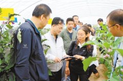 青海省蔬菜产业健康快速发展