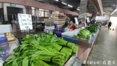 天气趋稳外地货源增多，高山蔬菜开始驰援武汉，江城菜价开启回落模式