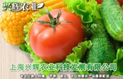 上海蔬菜配送公司_品种齐全