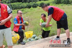 桂林移动爱心助农 2小时销出西瓜900斤