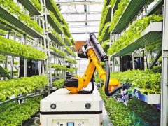 重庆智能蔬菜工厂全程由机器人种植