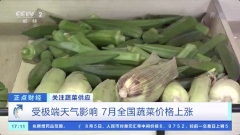视频|极端天气影响供应 7月全国蔬菜价格上涨
