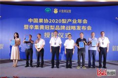2020中国梨产业年会在河北辛集召开，辛集黄冠梨品牌战略发布