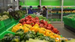 今年前7月越南水果蔬菜出口额近20亿美元