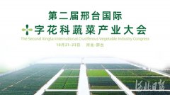 相约十月！第二届邢台国际十字花科蔬菜产业大会10月22日开幕