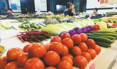秋季蔬菜即将上市 蔬菜价格有望回落