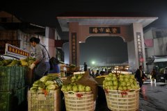 澄海涂城蔬菜批发市场物美价宜辐射粤东及邻省