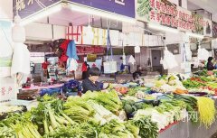 安庆：时令蔬菜大量上市 价格亲民受到青睐